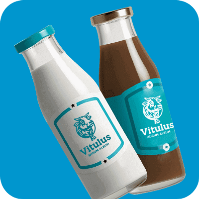 Vortisio Brnading Portfolio - 6